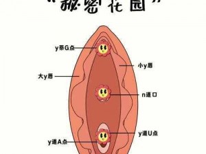 mm禁处【求问，mm 被触碰的禁处到底是哪里？】