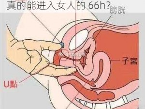 Ji大巴进入女人66h,Ji 大巴是否真的能进入女人的 66h？