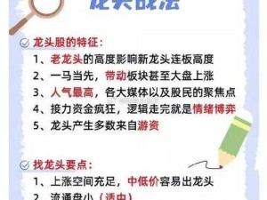 九龙战英雄擂玩法揭秘：规则详解与战略指南