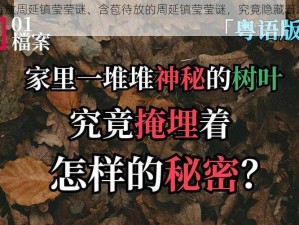 含苞待放周延镇莹莹谜、含苞待放的周延镇莹莹谜，究竟隐藏着怎样的秘密？