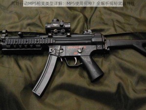 荒野行动MP5枪支类型详解：MP5使用何种？全解析揭秘武器特性