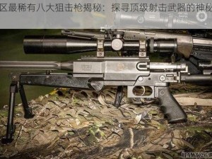 暗区最稀有八大狙击枪揭秘：探寻顶级射击武器的神秘面纱