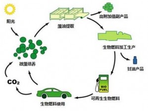 关于人工合成柴油的新配方研究：创新绿色能源技术的探索