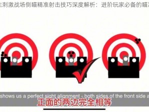 绝地求生刺激战场侧瞄精准射击技巧深度解析：进阶玩家必备的瞄准与使用指南