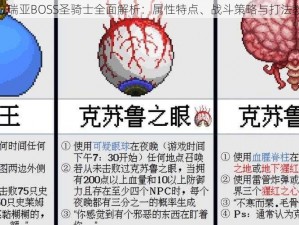 泰拉瑞亚BOSS圣骑士全面解析：属性特点、战斗策略与打法教学