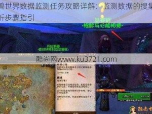 魔兽世界数据监测任务攻略详解：监测数据的搜集与分析步骤指引