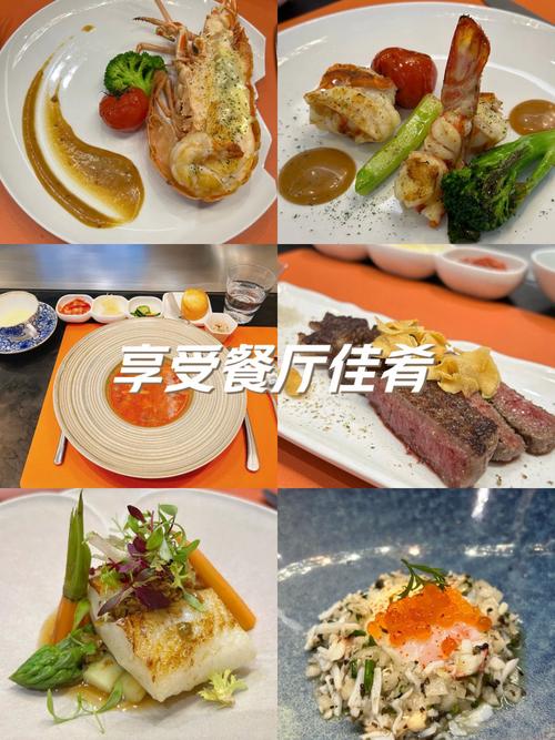 《新手探秘大家饿餐厅：入门教程与食材酱料选择全解析》