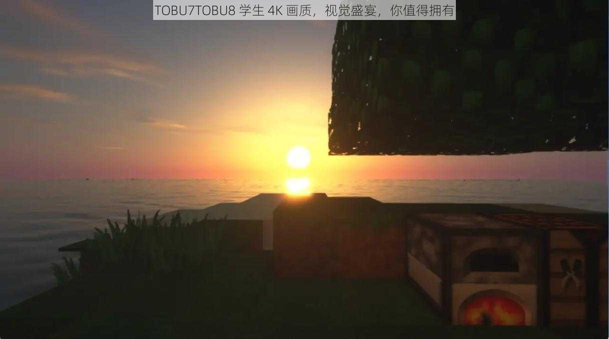 TOBU7TOBU8 学生 4K 画质，视觉盛宴，你值得拥有