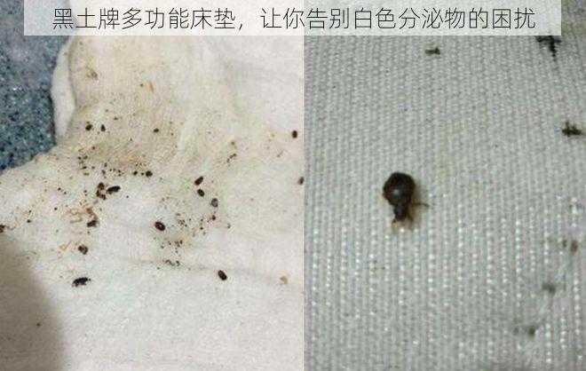 黑土牌多功能床垫，让你告别白色分泌物的困扰