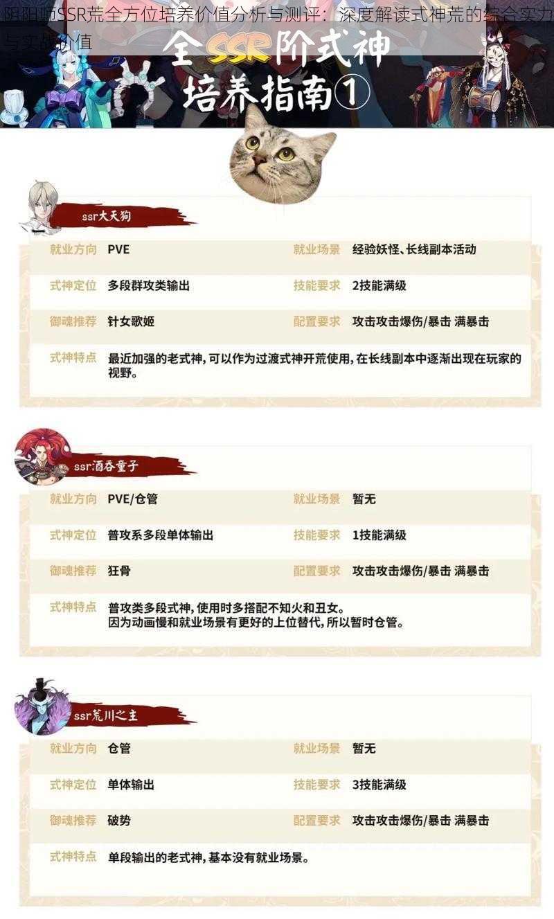 阴阳师SSR荒全方位培养价值分析与测评：深度解读式神荒的综合实力与实战价值