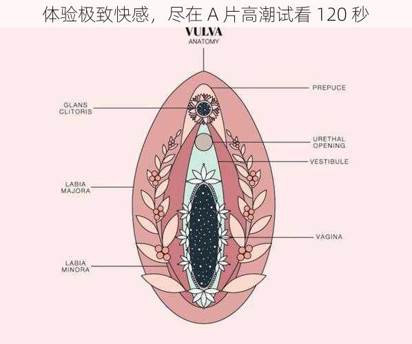 体验极致快感，尽在 A 片高潮试看 120 秒