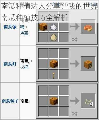 南瓜种植达人分享：我的世界南瓜种植技巧全解析