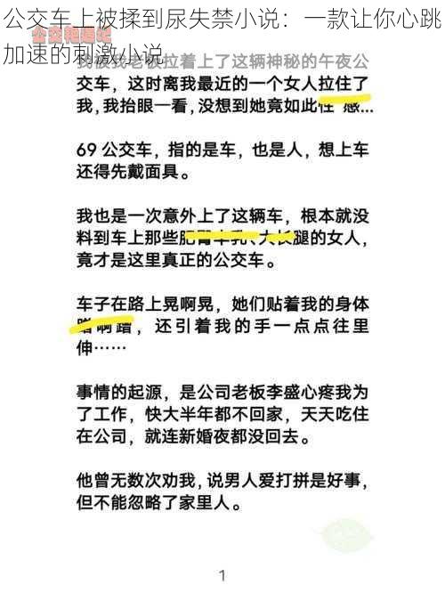 公交车上被揉到尿失禁小说：一款让你心跳加速的刺激小说