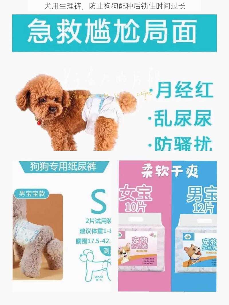 犬用生理裤，防止狗狗配种后锁住时间过长