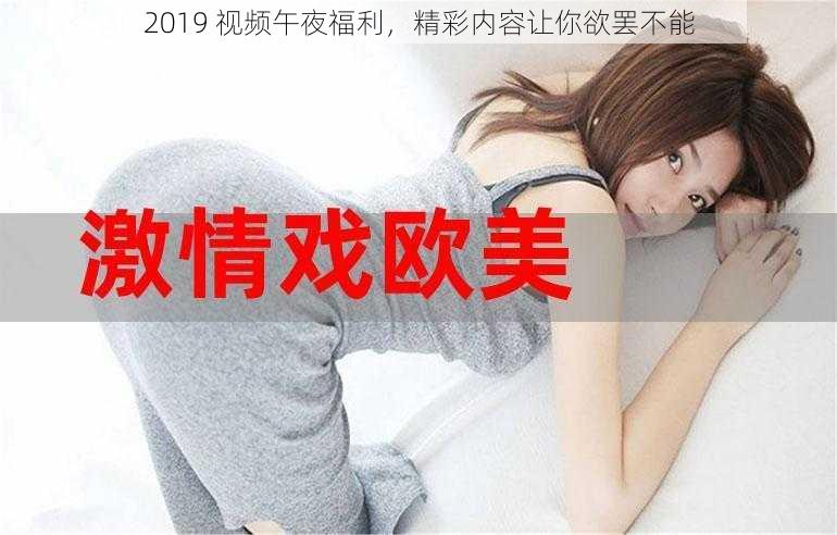 2019 视频午夜福利，精彩内容让你欲罢不能