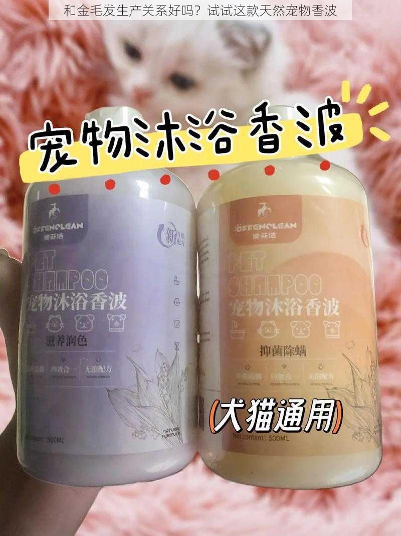 和金毛发生产关系好吗？试试这款天然宠物香波