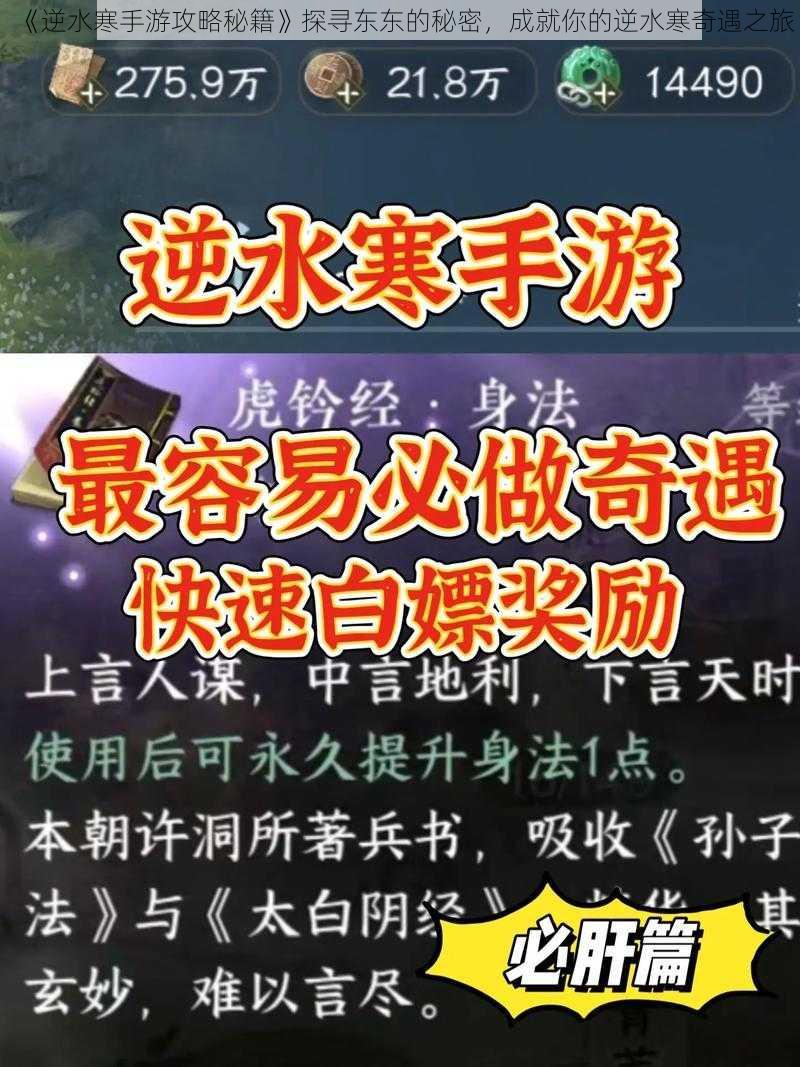 《逆水寒手游攻略秘籍》探寻东东的秘密，成就你的逆水寒奇遇之旅