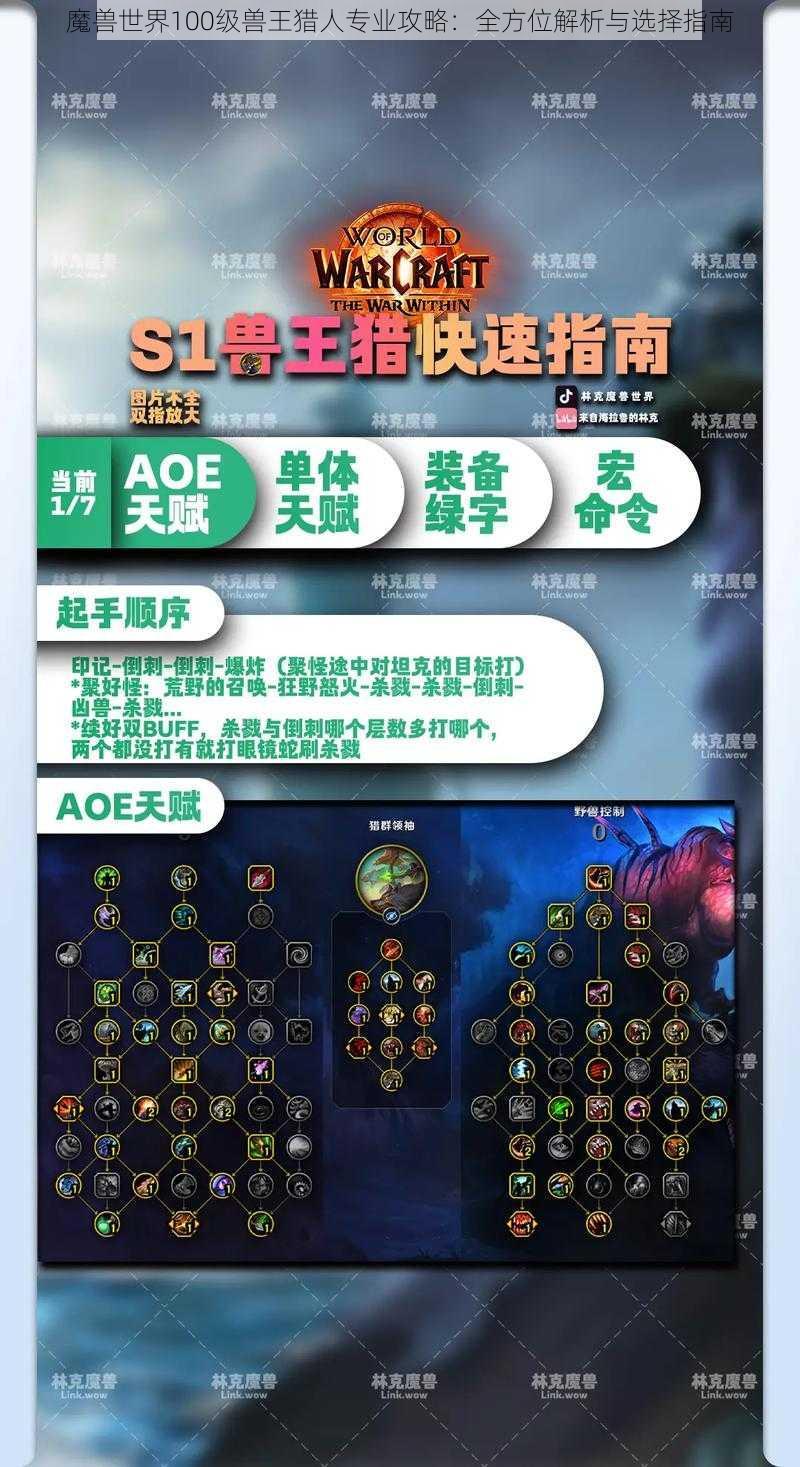 魔兽世界100级兽王猎人专业攻略：全方位解析与选择指南