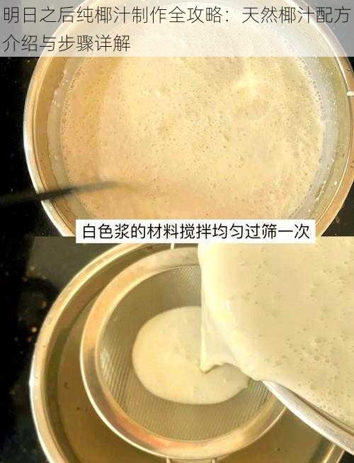 明日之后纯椰汁制作全攻略：天然椰汁配方介绍与步骤详解