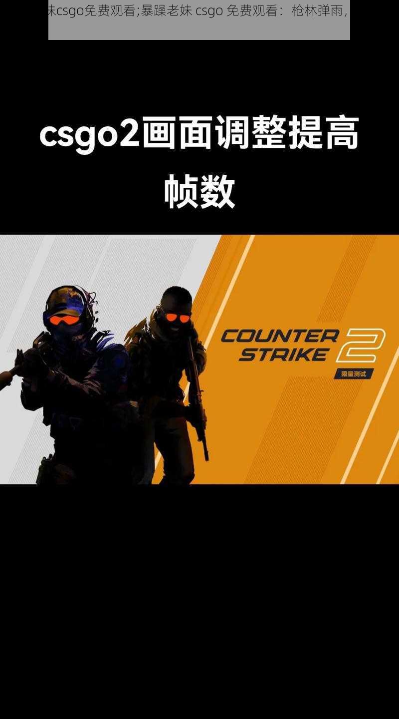 暴躁老妹csgo免费观看;暴躁老妹 csgo 免费观看：枪林弹雨，战火纷飞