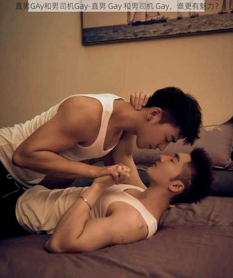 直男GAy和男司机Gay-直男 Gay 和男司机 Gay，谁更有魅力？