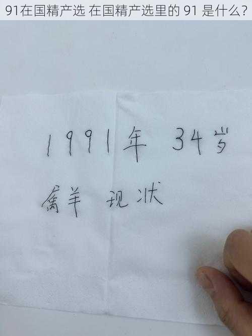 91在国精产选 在国精产选里的 91 是什么？