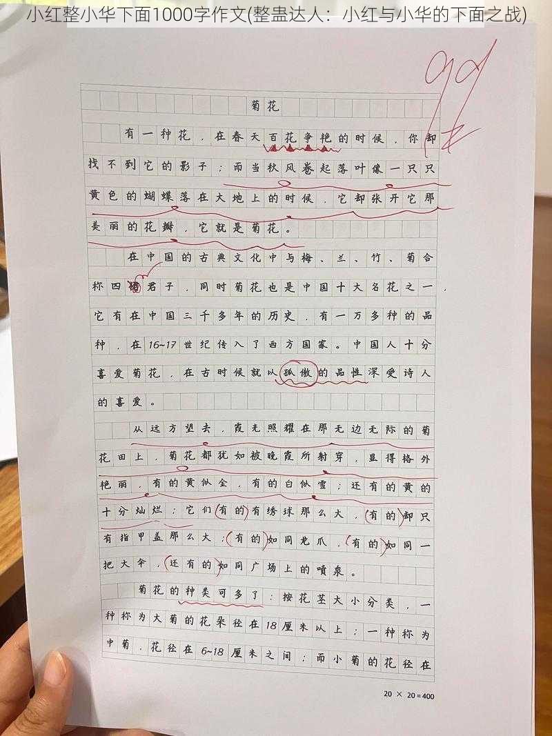 小红整小华下面1000字作文(整蛊达人：小红与小华的下面之战)