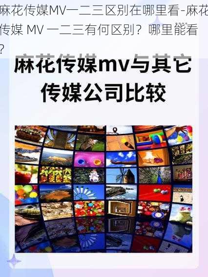 麻花传媒MV一二三区别在哪里看-麻花传媒 MV 一二三有何区别？哪里能看？