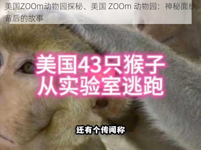 美国ZOOm动物园探秘、美国 ZOOm 动物园：神秘面纱背后的故事