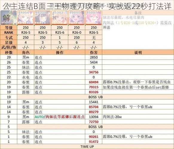 公主连结B面三王物理刀攻略：实战返22秒打法详解