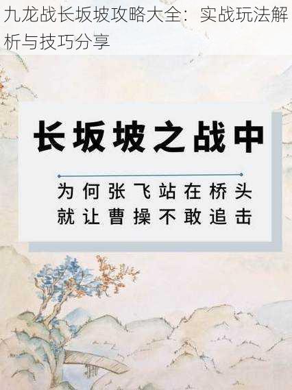 九龙战长坂坡攻略大全：实战玩法解析与技巧分享