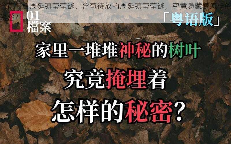 含苞待放周延镇莹莹谜、含苞待放的周延镇莹莹谜，究竟隐藏着怎样的秘密？