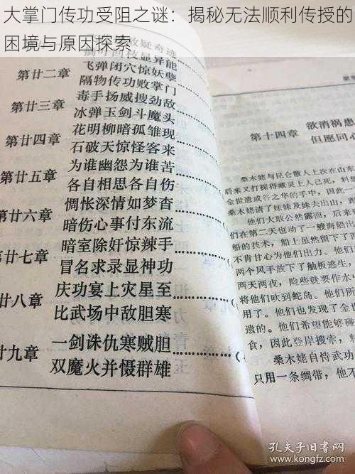 大掌门传功受阻之谜：揭秘无法顺利传授的困境与原因探索