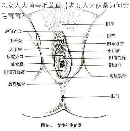 老女人大荫蒂毛茸茸【老女人大荫蒂为何会毛茸茸？】