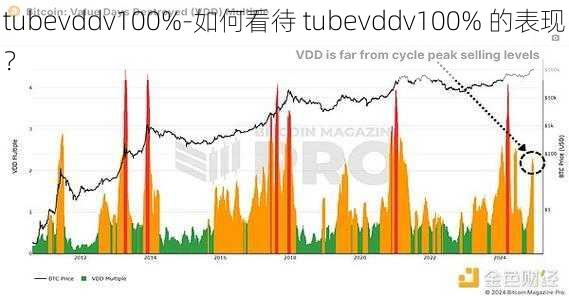 tubevddv100%-如何看待 tubevddv100% 的表现？