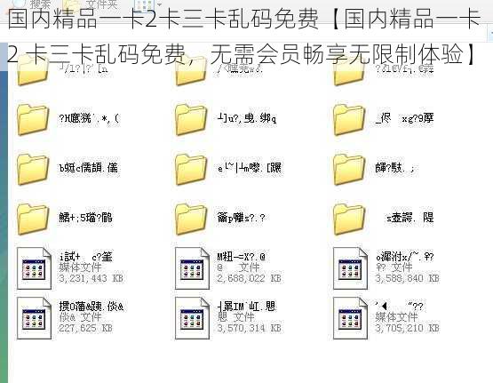 国内精品一卡2卡三卡乱码免费【国内精品一卡 2 卡三卡乱码免费，无需会员畅享无限制体验】