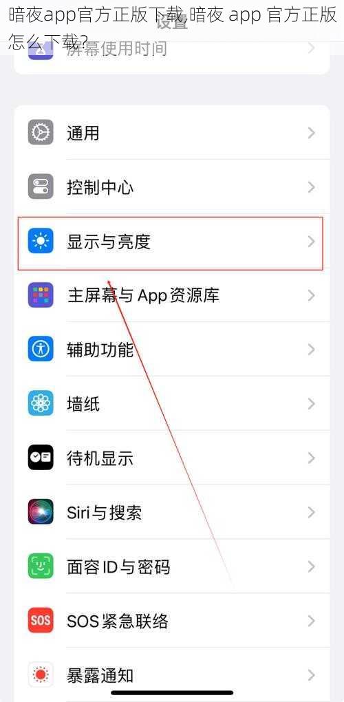 暗夜app官方正版下载,暗夜 app 官方正版怎么下载？