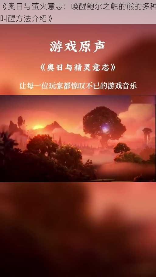 《奥日与萤火意志：唤醒鲍尔之触的熊的多种叫醒方法介绍》