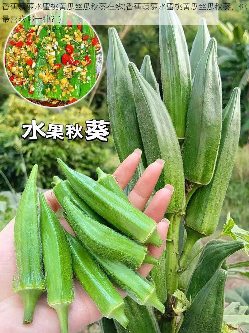 香蕉菠萝水蜜桃黄瓜丝瓜秋葵在线(香蕉菠萝水蜜桃黄瓜丝瓜秋葵，你最喜欢哪一种？)