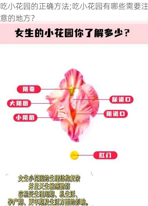 吃小花园的正确方法;吃小花园有哪些需要注意的地方？