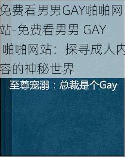 免费看男男GAY啪啪网站-免费看男男 GAY 啪啪网站：探寻成人内容的神秘世界