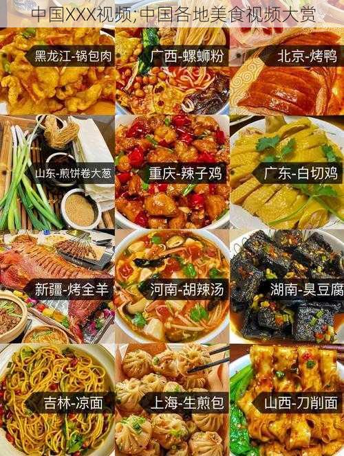 中国XXX视频;中国各地美食视频大赏