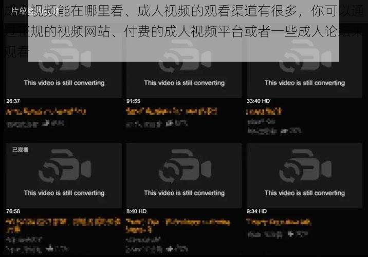 成人视频能在哪里看、成人视频的观看渠道有很多，你可以通过正规的视频网站、付费的成人视频平台或者一些成人论坛来观看