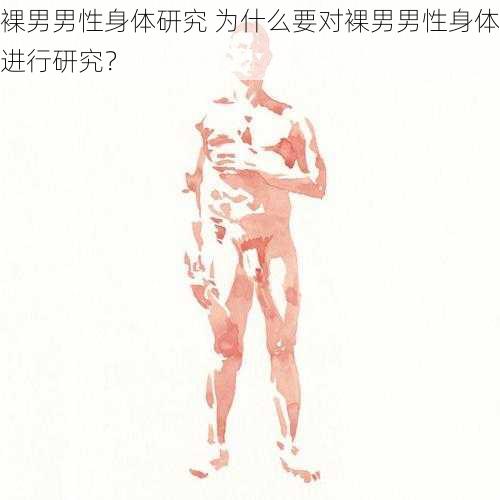 裸男男性身体研究 为什么要对裸男男性身体进行研究？