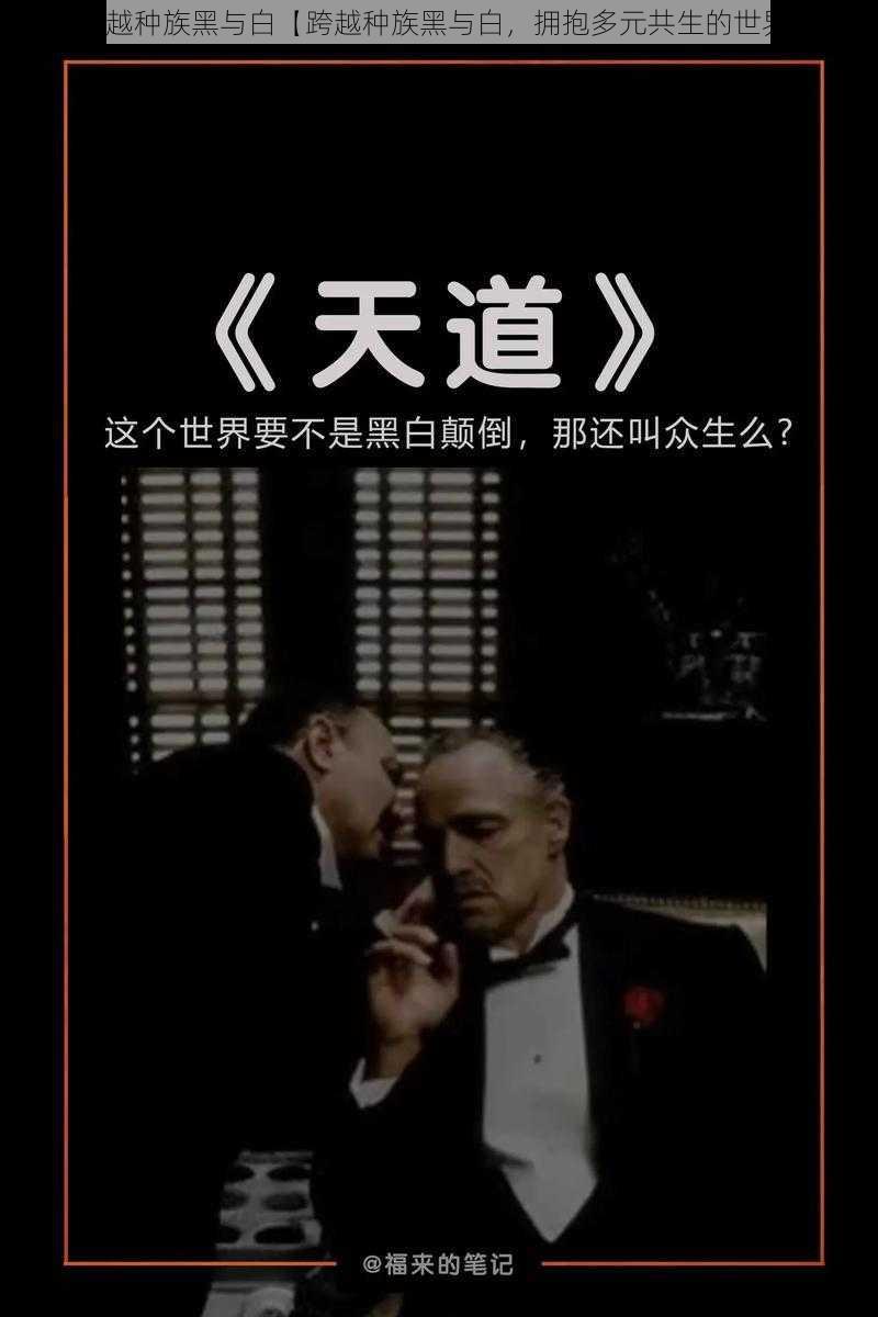 跨越种族黑与白【跨越种族黑与白，拥抱多元共生的世界】