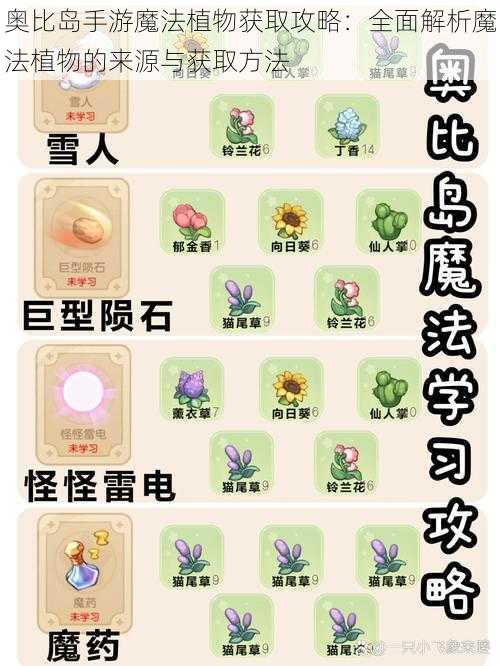 奥比岛手游魔法植物获取攻略：全面解析魔法植物的来源与获取方法