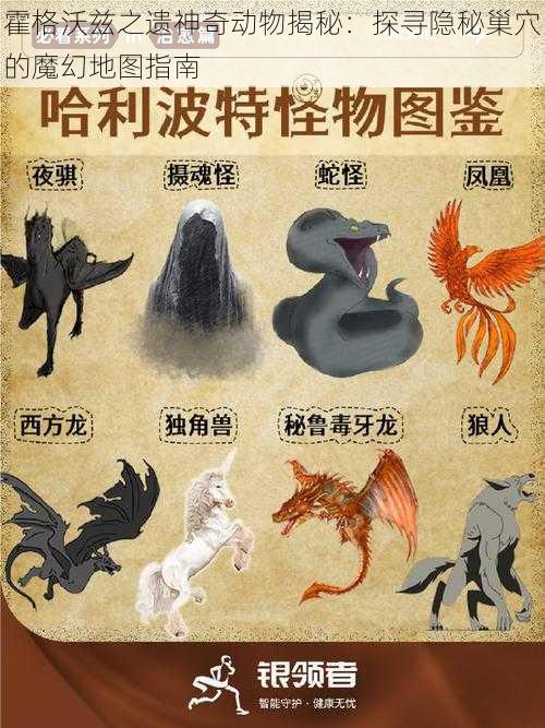 霍格沃兹之遗神奇动物揭秘：探寻隐秘巢穴的魔幻地图指南