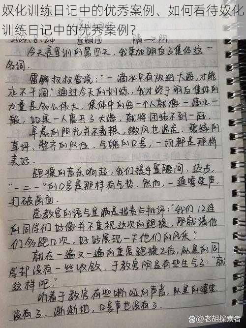 奴化训练日记中的优秀案例、如何看待奴化训练日记中的优秀案例？