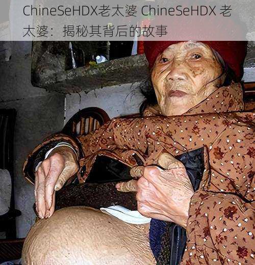 ChineSeHDX老太婆 ChineSeHDX 老太婆：揭秘其背后的故事