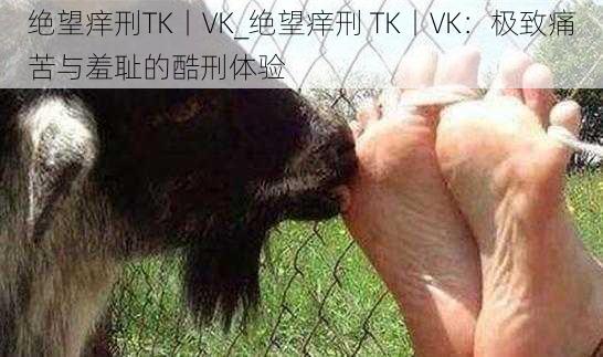 绝望痒刑TK丨VK_绝望痒刑 TK丨VK：极致痛苦与羞耻的酷刑体验